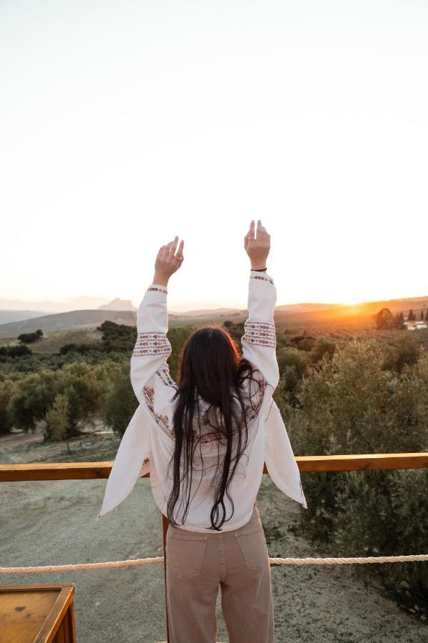 Alojamiento Rural Con Jacuzzi Privado Málaga Dış mekan fotoğraf